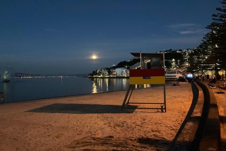 Photo of property in 186 Oriental Parade, Oriental Bay, Wellington, 6011