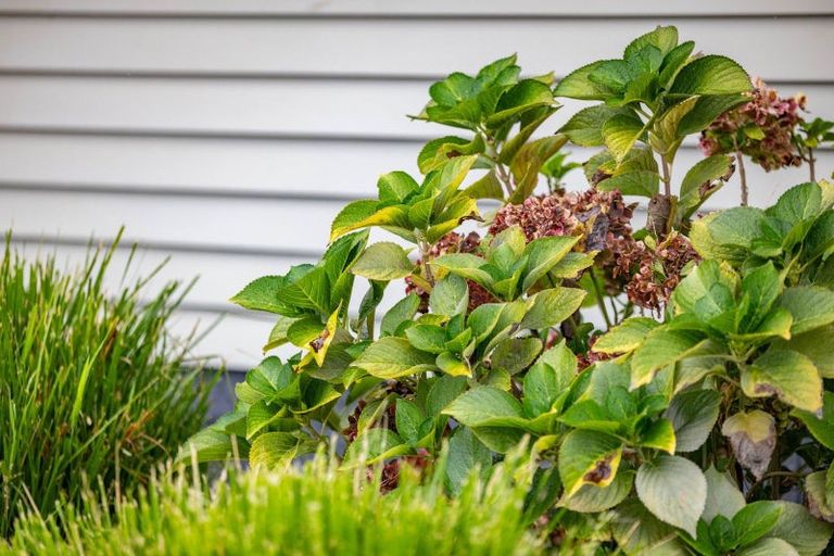 Photo of property in 1054 Te Rahu Road, Te Awamutu, 3800