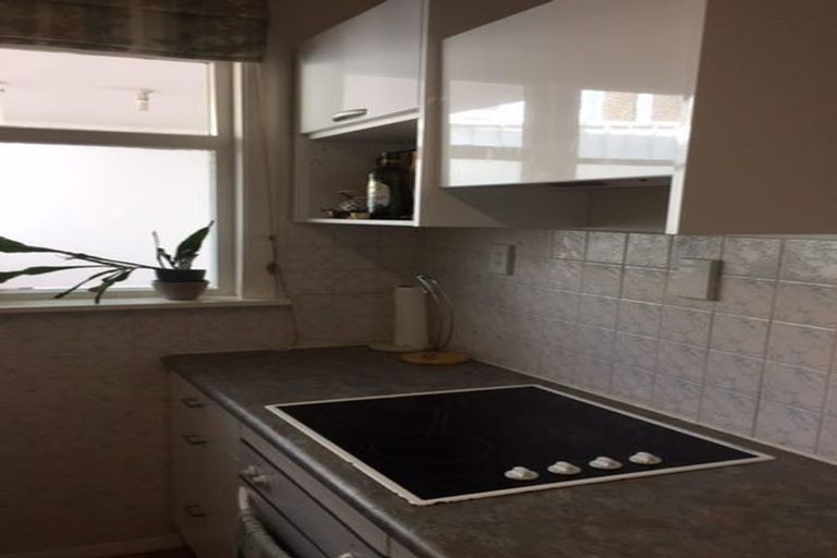 Photo of property in 87 Majoribanks Street, Mount Victoria, Wellington, 6011