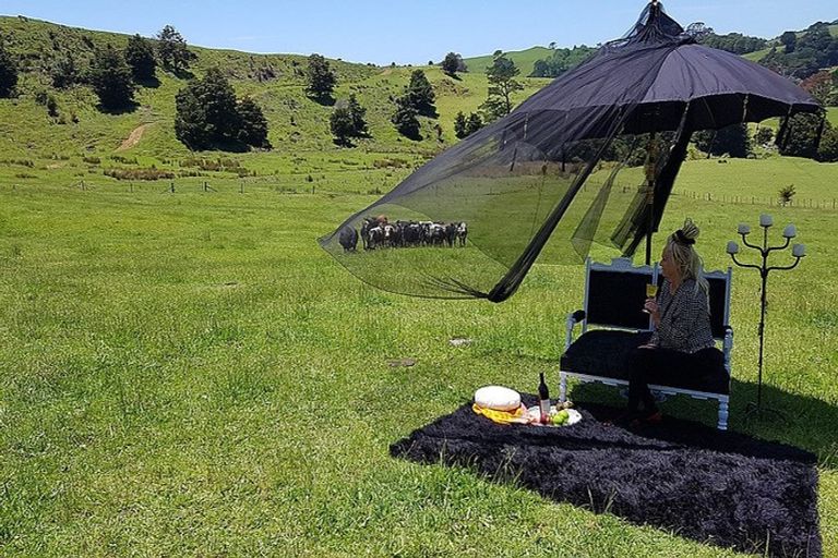 Photo of property in 538 Matakana Valley Road, Matakana, Warkworth, 0985