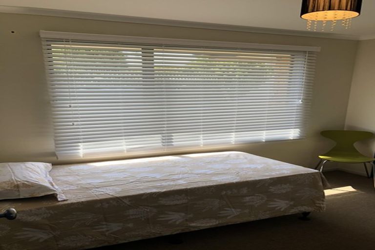 Photo of property in 48 Haultain Street, Fairfield, Hamilton, 3214