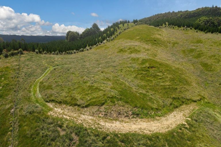 Photo of property in 46 Relph Road, Ngongotaha Valley, Rotorua, 3072