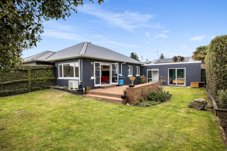 Photo of property in 44 Bellevue Road, Brookfield, Tauranga, 3110