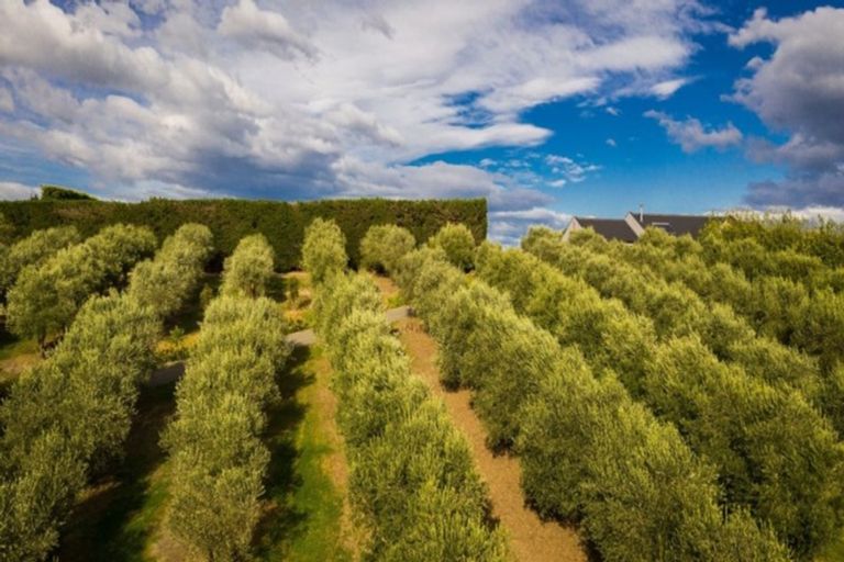 Photo of property in 1253 Oxford Road, Cust, Rangiora, 7471