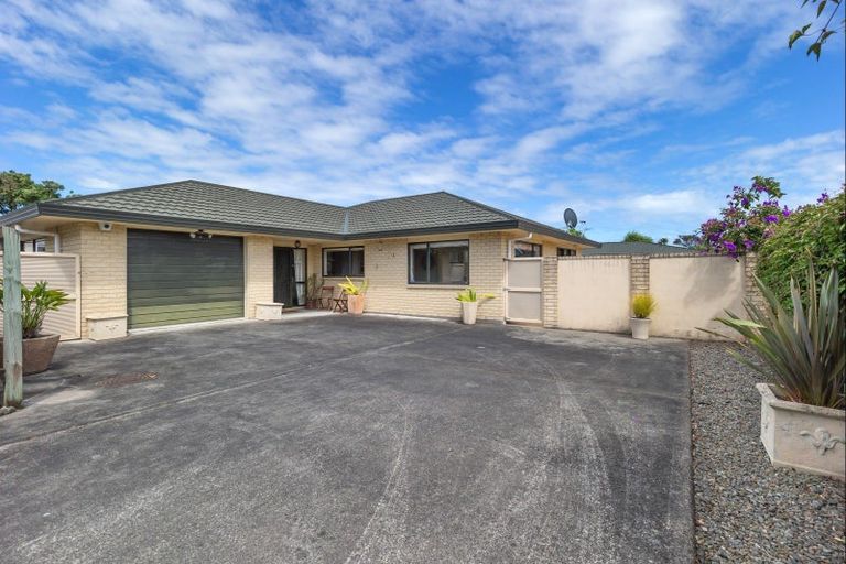 Photo of property in 61a Salisbury Street, Levin, 5510