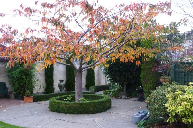 Photo of property in 43 Lynn Street, Oamaru North, Oamaru, 9400