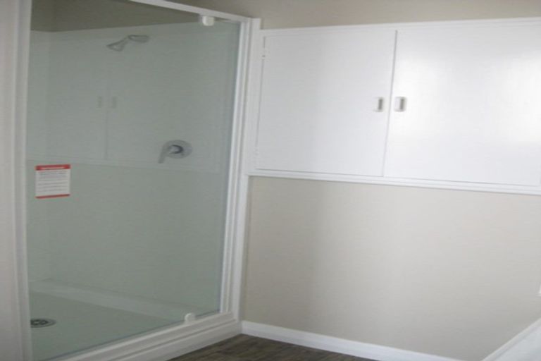 Photo of property in 56 Shamrock Street, Takaro, Palmerston North, 4412