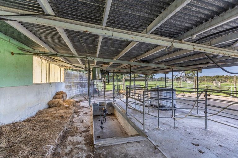 Photo of property in 201 Totaramahonga Road, Dannevirke, 4972