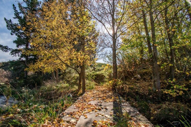 Photo of property in 456 State Highway 49, Tangiwai, Ohakune, 4691