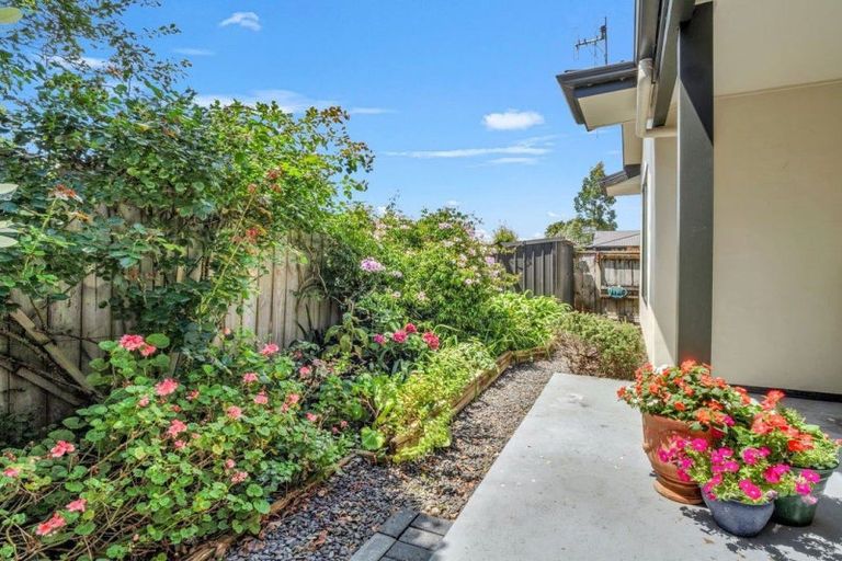 Photo of property in 8 Victoria Court, Feilding, 4702