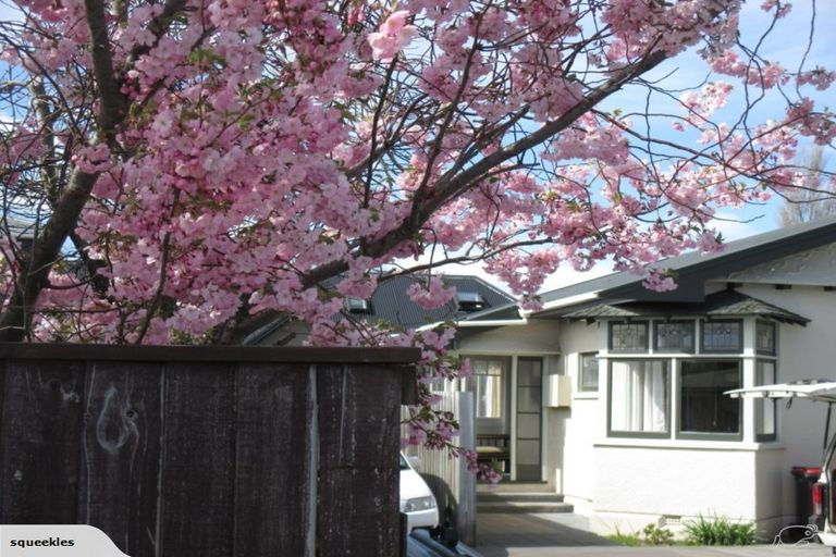 Photo of property in 410 Barrington Street, Spreydon, Christchurch, 8024