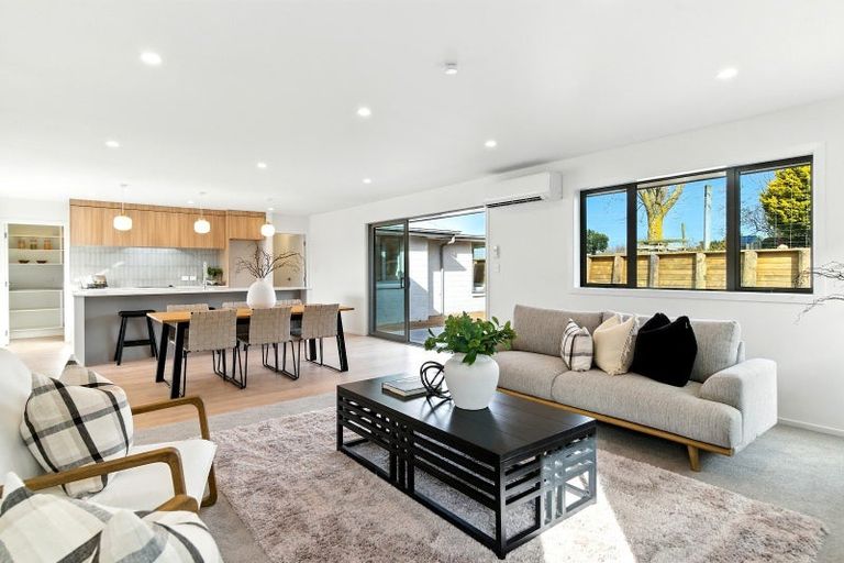 Photo of property in 3 Hauhake Terrace, Leamington, 3495