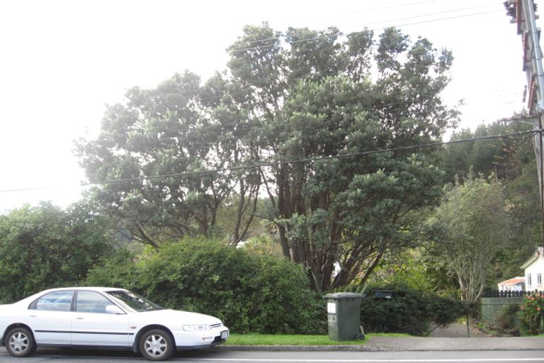 Photo of property in 87 Ruapehu Street, Paraparaumu, 5032