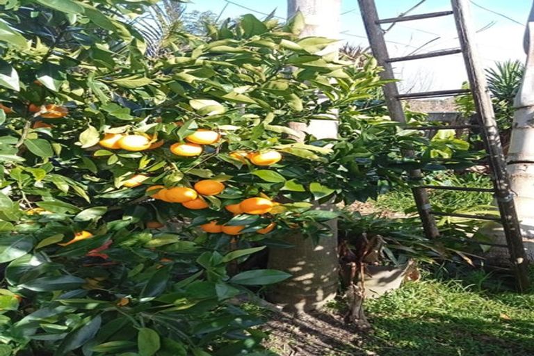 Photo of property in 40 Judea Road, Judea, Tauranga, 3110