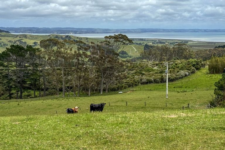 Photo of property in 1611 Kaipara Coast Highway, Kaukapakapa, 0984
