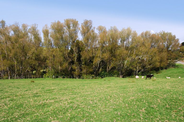 Photo of property in 25 Lupis Way, Kaiwaka, 0573