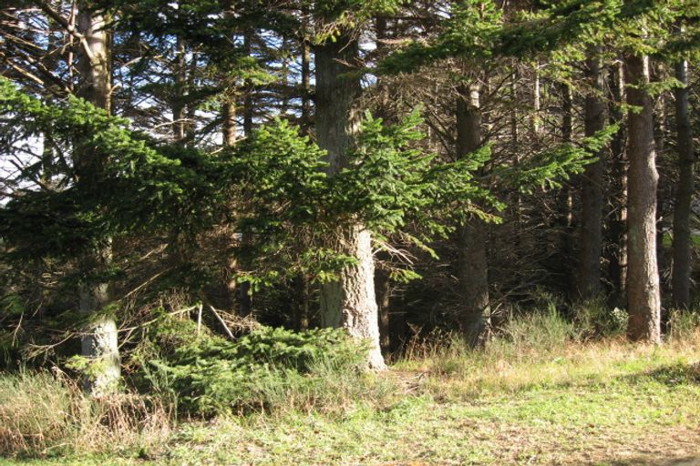 Photo of property in 2 Mark Street, Ravensbourne, Dunedin, 9022