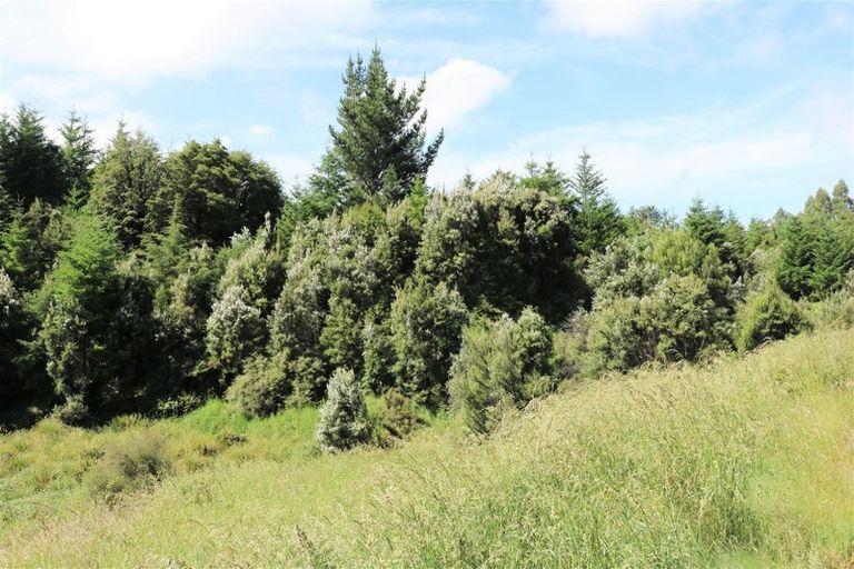 Photo of property in 147p Mount Lyford Forest Drive, Lyford, Waiau, 7395