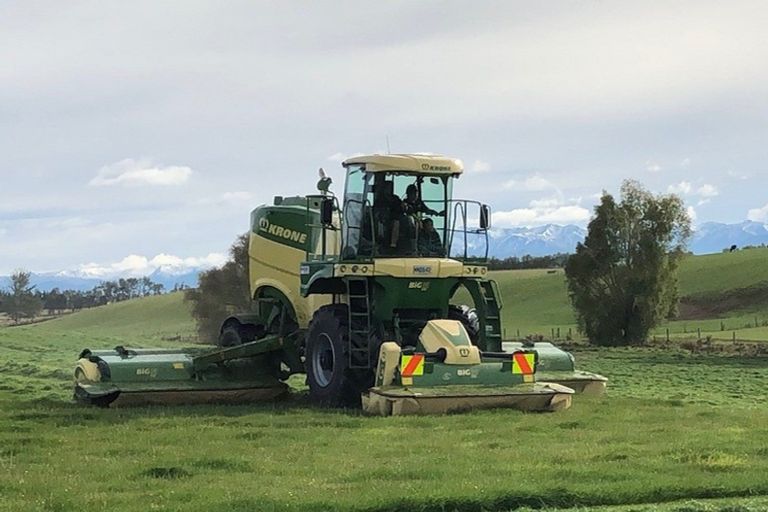 Photo of property in 287 Spar Bush School Road, Northope, Invercargill, 9874