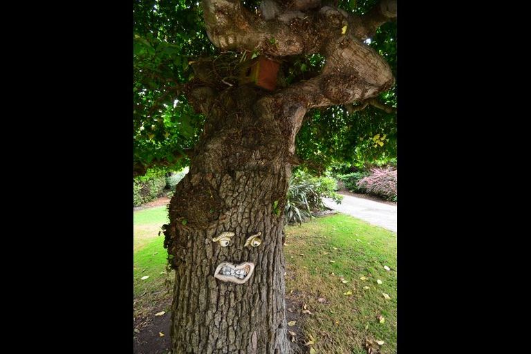 Photo of property in 24 Musselburgh Rise, Musselburgh, Dunedin, 9013