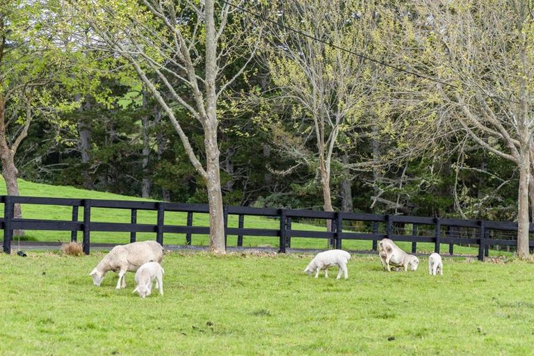 Photo of property in 70 Pomona Road, Kumeu, 0891