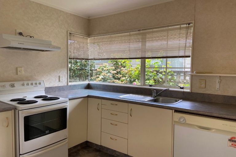 Photo of property in 111 Southampton Street West, Hastings, 4122