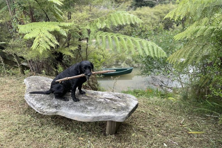 Photo of property in 106 Barrett Road, Riverhead, Albany, 0793