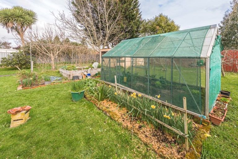 Photo of property in 41 Caffray Avenue, Aramoho, Whanganui, 4500