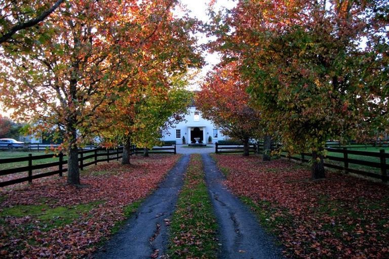 Photo of property in 146 Pine Valley Road, Dairy Flat, Silverdale, 0992