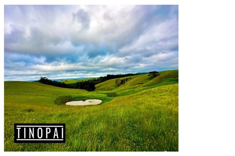 Photo of property in 1509 Tinopai Road, Tinopai, Matakohe, 0593