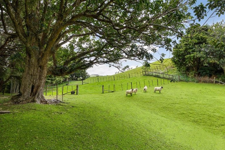 Photo of property in 81 Taylor Road, Waimauku, 0882