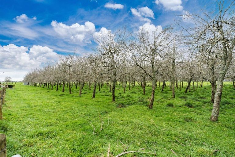 Photo of property in 110 Kells Lane, Lichfield, Putaruru, 3482