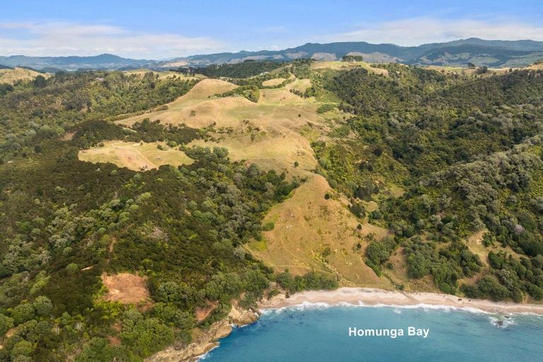 Photo of property in 269 Ngatitangata Road, Waihi, 3681