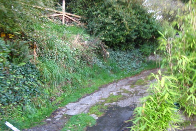 Photo of property in 56 Buccleugh Street, North East Valley, Dunedin, 9010