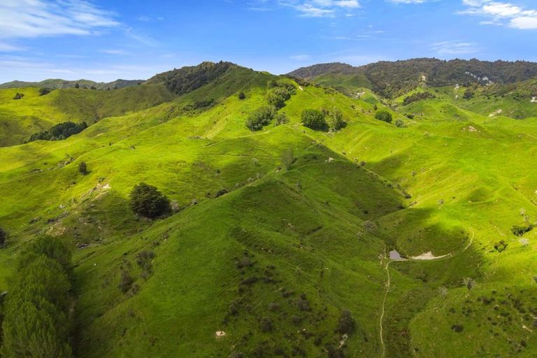 Photo of property in 839 Ruatiti Road, Raetihi, 4696