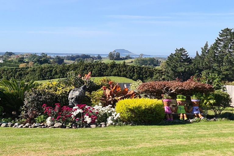 Photo of property in 233 Waipapa Block Road, Whakamarama, Tauranga, 3180