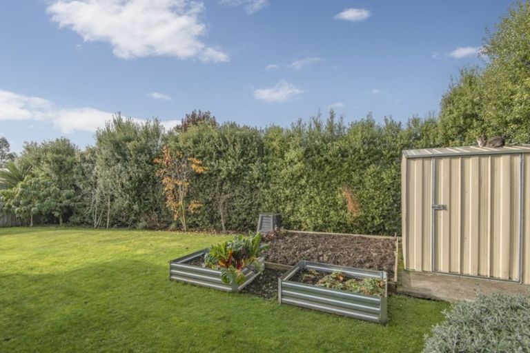 Photo of property in 42 Chapman Street, Leeston, 7632