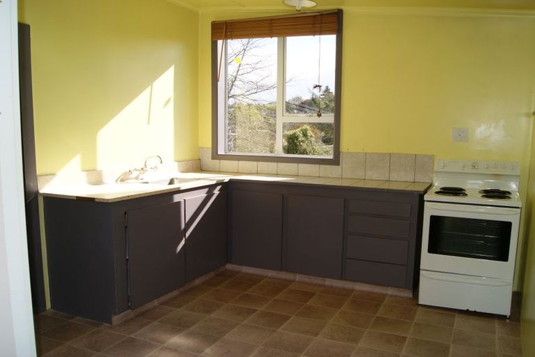 Photo of property in 133 Ronaldsay Street, Palmerston, 9430