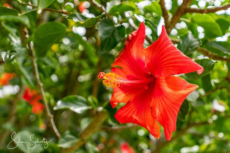 Photo of property in 163a Neems Road, Tinopai, Matakohe, 0593