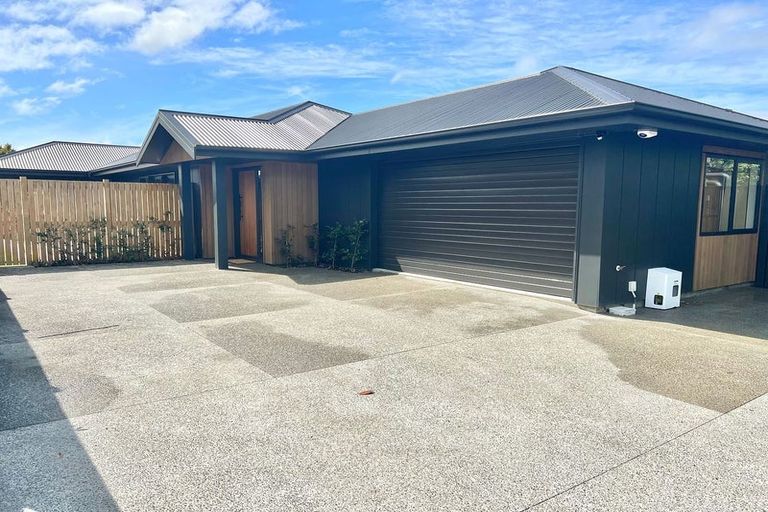 Photo of property in 95a Linton Street, West End, Palmerston North, 4410