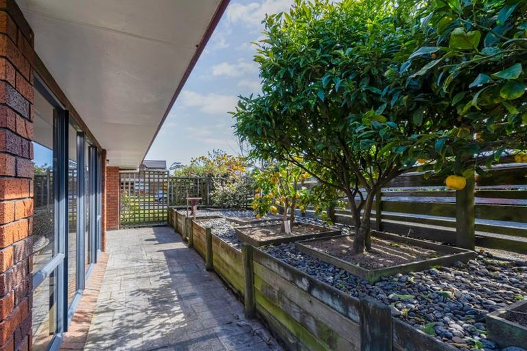 Photo of property in 74 Cedar Drive, Paraparaumu Beach, Paraparaumu, 5032