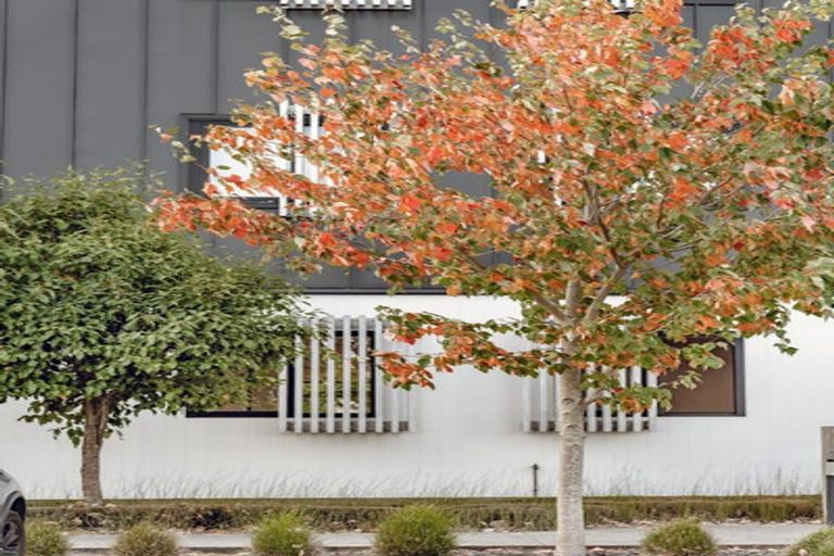 Photo of property in 4/169 Hobsonville Point Road, Hobsonville, Auckland, 0616