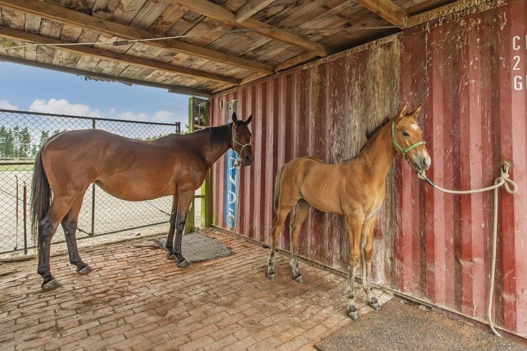 Photo of property in 186 Struie Road, Hororata, 7572