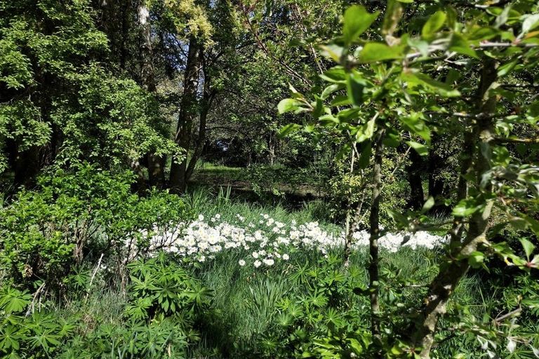 Photo of property in 13 Edievale Road, Edievale, Tapanui, 9587