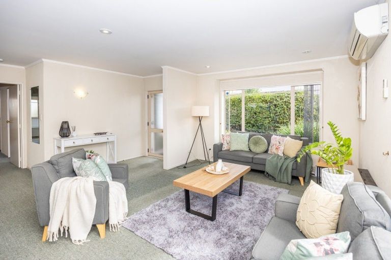 Photo of property in 32b Brooklyn Road, Claudelands, Hamilton, 3214