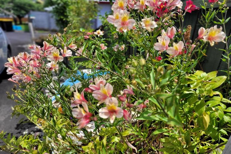 Photo of property in 17 Park View Rise, Gate Pa, Tauranga, 3112