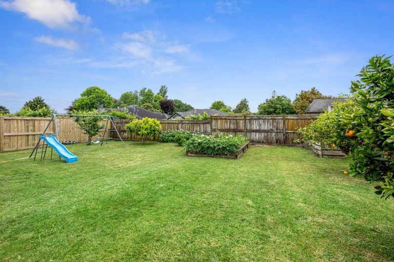 Photo of property in 114 Cameron Road, Te Puke, 3119