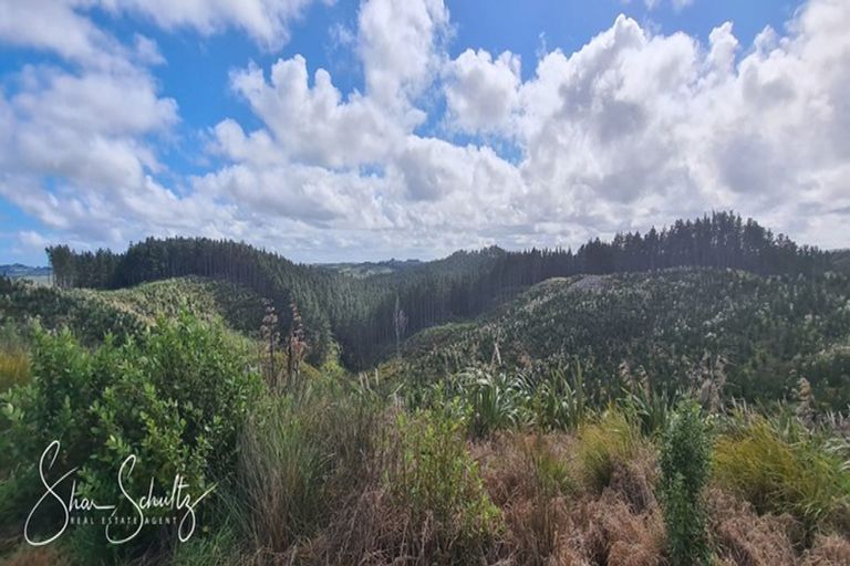 Photo of property in 872 Bickerstaffe Road, Maungaturoto, 0587