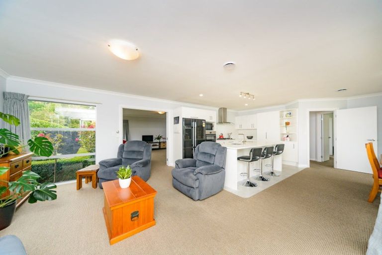 Photo of property in 19 Karina Terrace, Roslyn, Palmerston North, 4414
