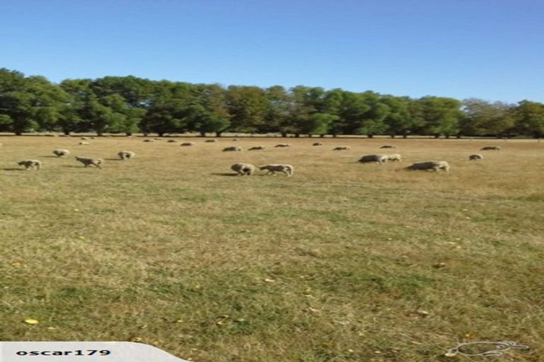 Photo of property in 145 Island Road, Kaiapoi, 7691